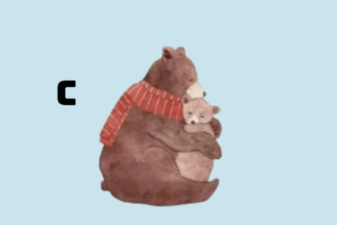 img cung 2