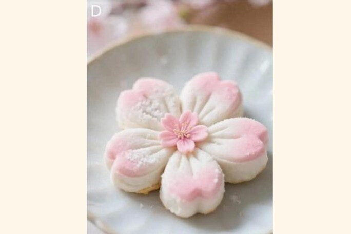 img cung 3