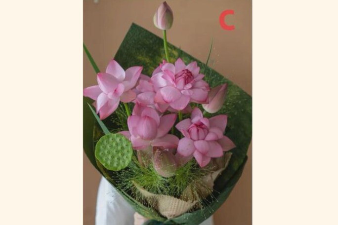 img cung 2
