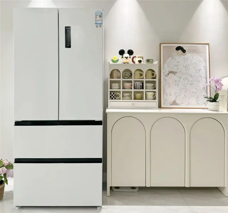 Thị trường có đủ loại tủ lạnh nhưng 8 kiểu này đừng mua, biết rồi nhớ nhắc người thân nhé! - 6
