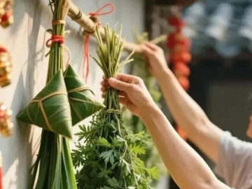 Tết Đoan Ngọ treo loại rau này trước cửa, chỉ 10.000 đồng/mớ nhưng giúp xua rủi rước lộc, cả năm may mắn