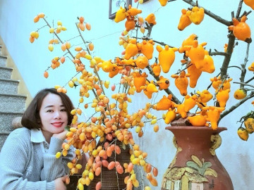 Mê mệt những bình quả của mẹ đảm Phú Thọ: Cà dại hay trứng gà, quả nhót đều lên đời khi thả vào bình