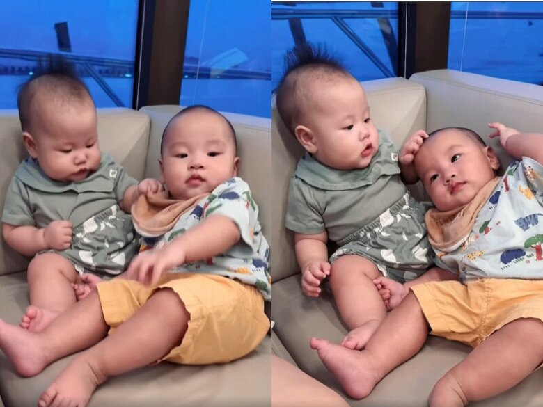 Dù bị em gái bắt nạt, nhóc tì luôn nhường nhịn.