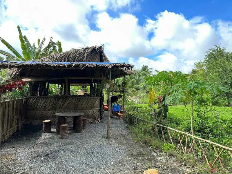 Quang cảnh nhà vườn rộng 6.000m2 của Huỳnh Anh Tuấn.