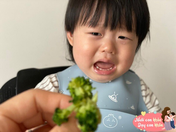 Trẻ cảm thấy nhàm chán nếu món ăn quá đơn điệu.