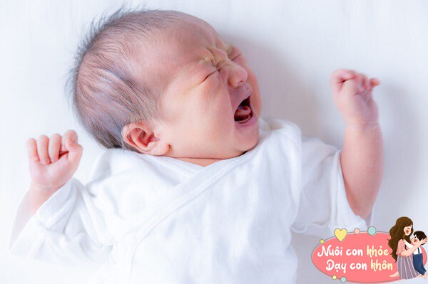 Đừng phớt lờ nhu cầu cảm xúc.