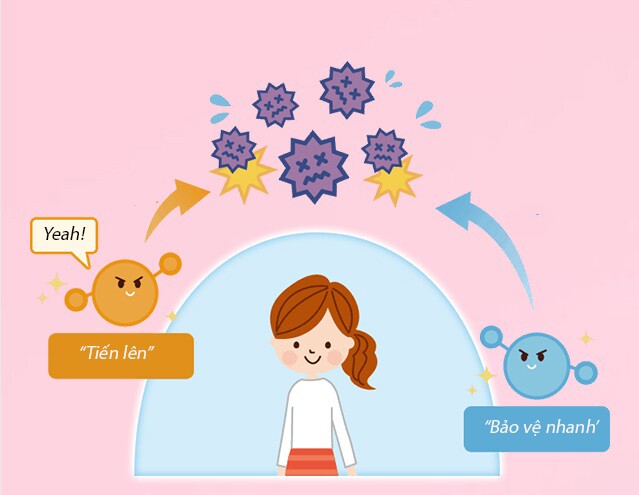 Lactoferrin tạo ra vòng bảo vệ an toàn cho sức khỏe của trẻ.