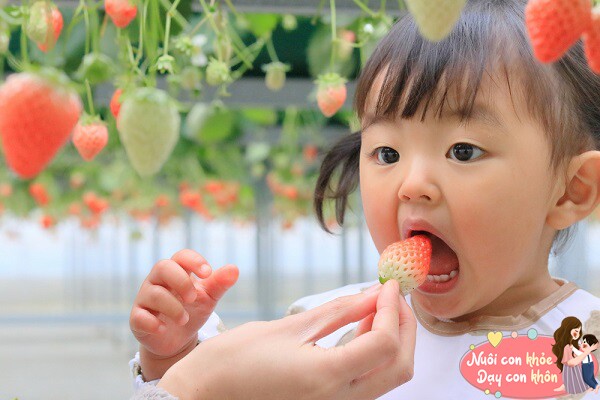 Xem ăn uống như là cuộc phiêu lưu.