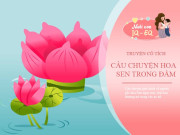 Nuôi con IQ EQ - Truyện cổ tích: Hoa Sen trong đầm lầy