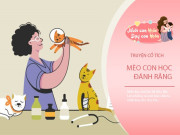 Nuôi con IQ EQ - Truyện cổ tích: Chú mèo đánh răng