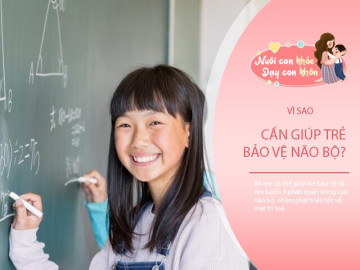 Có 3 phần bên trong não bộ cần được bảo vệ, để trẻ dễ dàng học giỏi, ghi nhớ bài lâu