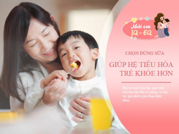 Thức ăn đi đâu sau khi con nuốt? Hành trình hấp thu dinh dưỡng qua “bộ não thứ 2”