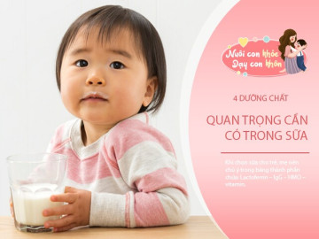 Mẹ chọn sữa bổ sung đề kháng cho trẻ, đừng bỏ qua 4 chi tiết này trong bảng thành phần: Lactoferrin – IgG – HMO – vitamin