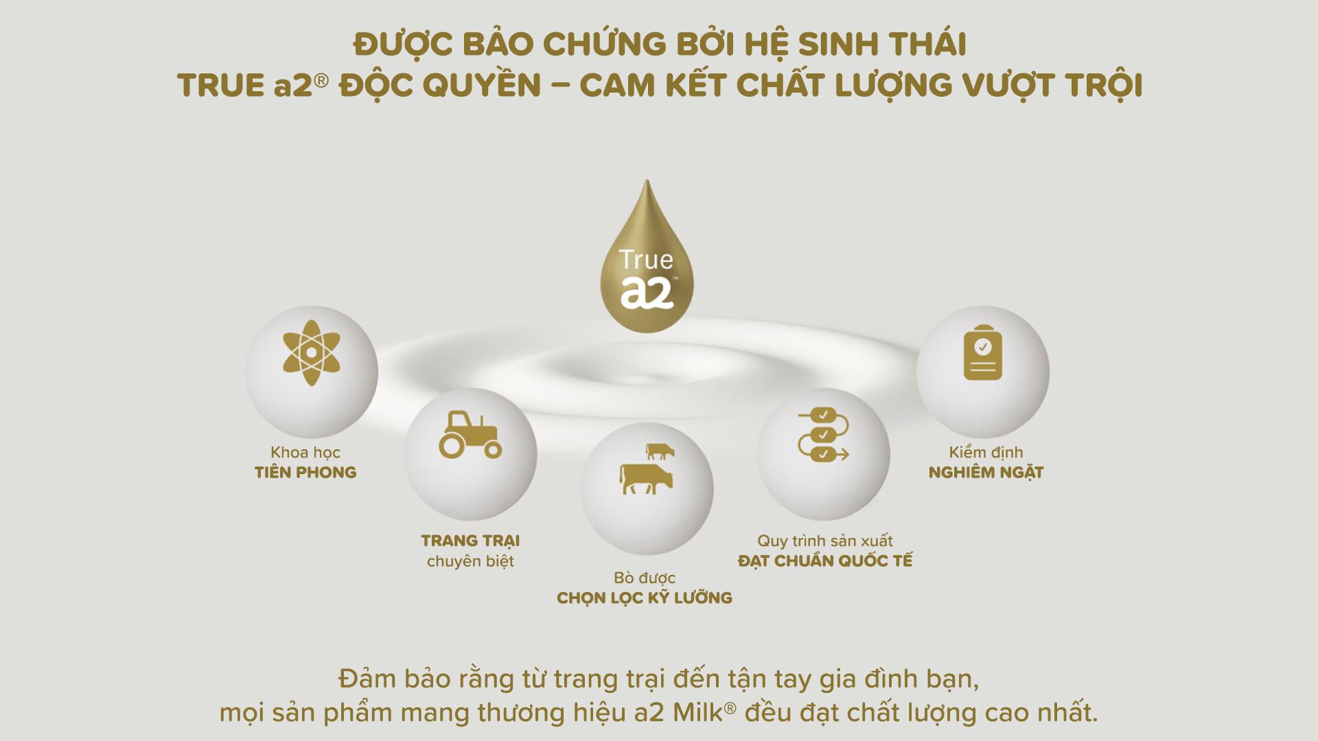 Hệ sinh thái True a2™ và quy trình tạo nên a2® Platinum® – dòng sữa công thức đẳng cấp thế giới - 1