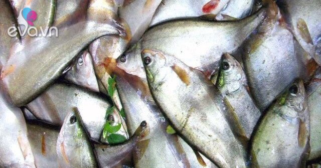 Cá 'Một Nắng' Kỳ Lạ: Đặc Sản 'Xưa Khó Ăn' Bỗng 'Gây Sốt' Nhà Hàng, Giá 300.000Đ/Kg, Bí Quyết Sức Khỏe