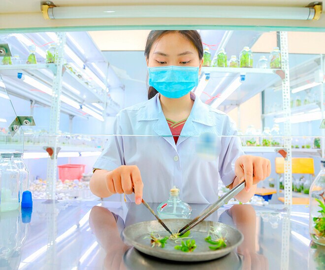 5 ngành học dễ xin việc, ít cạnh tranh, mức lương tới 40 triệu đồng/tháng nhưng không nhiều người lựa chọn - 1