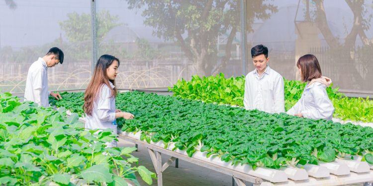 5 ngành học ở Việt Nam lương hơn 50 triệu/tháng, amp;#34;khátamp;#34; nhân lực chất lượng cao, ra trường không lo thất nghiệp - 2
