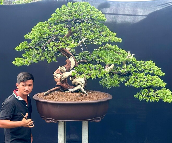 9X ở TP.HCM kiếm tiền triệu mỗi ngày nhờ tạo tác cho cây cảnh, sở hữu vườn bonsai amp;#34;khủngamp;#34; giá tiền tỷ - 1