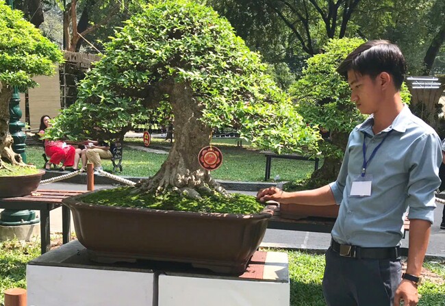 9X ở TP.HCM kiếm tiền triệu mỗi ngày nhờ tạo tác cho cây cảnh, sở hữu vườn bonsai amp;#34;khủngamp;#34; giá tiền tỷ - 5