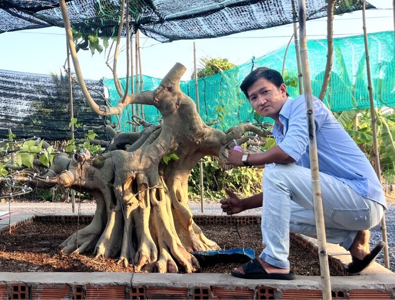9X ở TP.HCM kiếm tiền triệu mỗi ngày nhờ tạo tác cho cây cảnh, sở hữu vườn bonsai amp;#34;khủngamp;#34; giá tiền tỷ - 4
