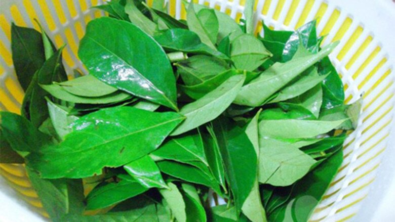Cây dại mọc bờ bụi thành đặc sản mùa hè, 200.000 đồng/kg được người thành phố ưa chuộng, trồng một lần thu hoạch nhiều năm - 3