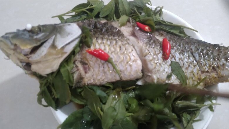 Cây dại mọc bờ rào thành đặc sản giá 50.000 đồng/kg, nay được ưa chuộng vào mùa hè vì hương vị lạ, hái lá bán quanh năm - 3