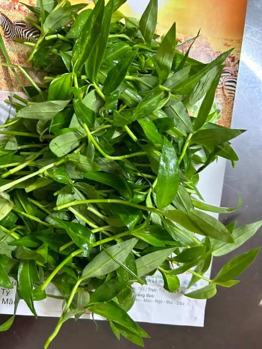 Cây dại mọc ở bờ mương xưa hái cho lợn gà ăn, nay thành đặc sản người thành phố ưa chuộng vì hương vị lạ, 80.000 đồng/kg - 3