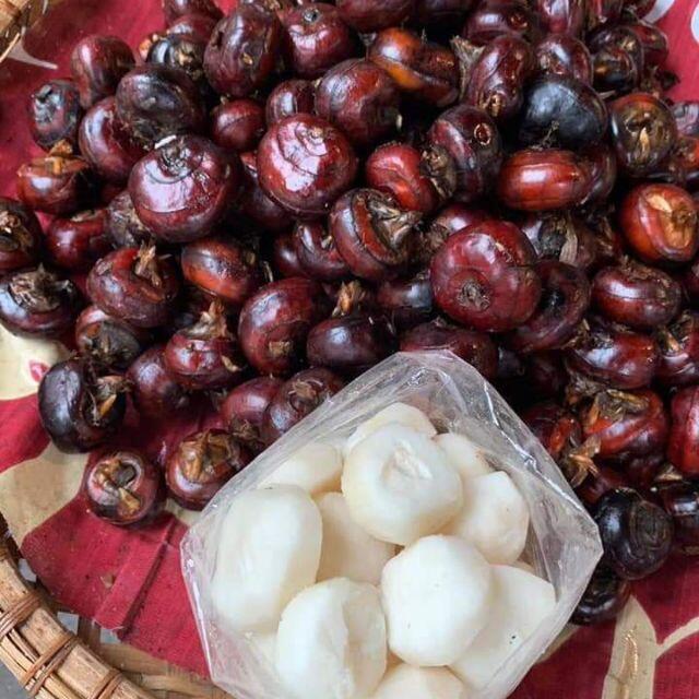 Củ mã thầy được thu hoạch một mùa trong năm