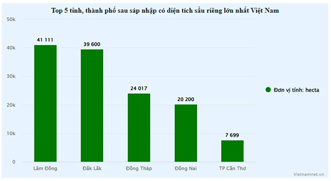 Cho thu 1-2,5 tỷ đồng/ha, tỉnh nào có diện tích sầu riêng lớn nhất sau sáp nhập? - 3