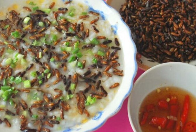 Cháo mối cánh thành đặc sản trong nhà hàng