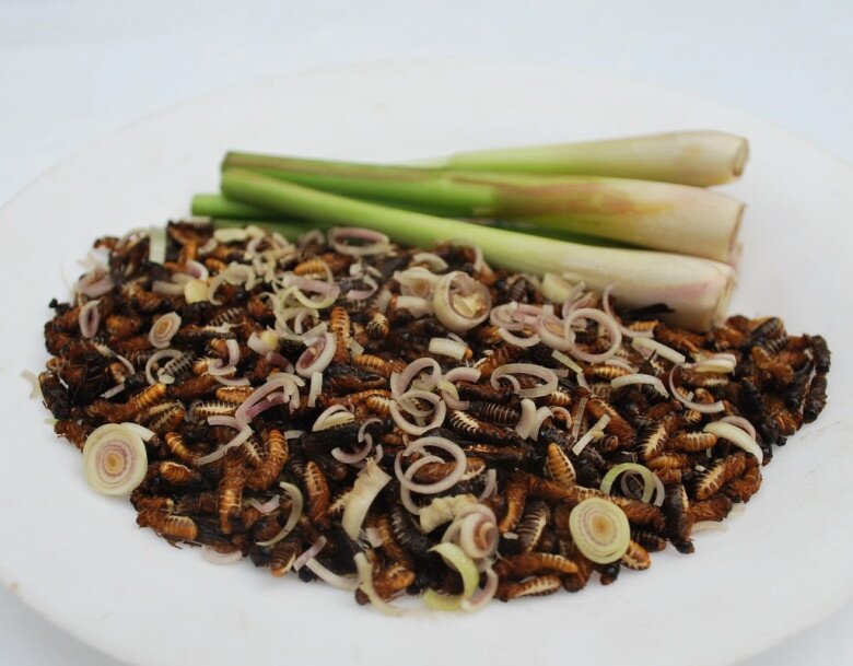 Các món ăn từ mối cánh lạ miệng và béo bùi hấp dẫn