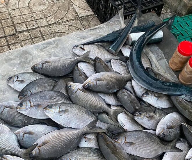 Đặc sản nghe tên amp;#34;sợ khiếp víaamp;#34;, xưa không ai biết đến nay được người thành phố ưa chuộng vì hương vị đặc biệt, 200.000 đồng/kg - 1