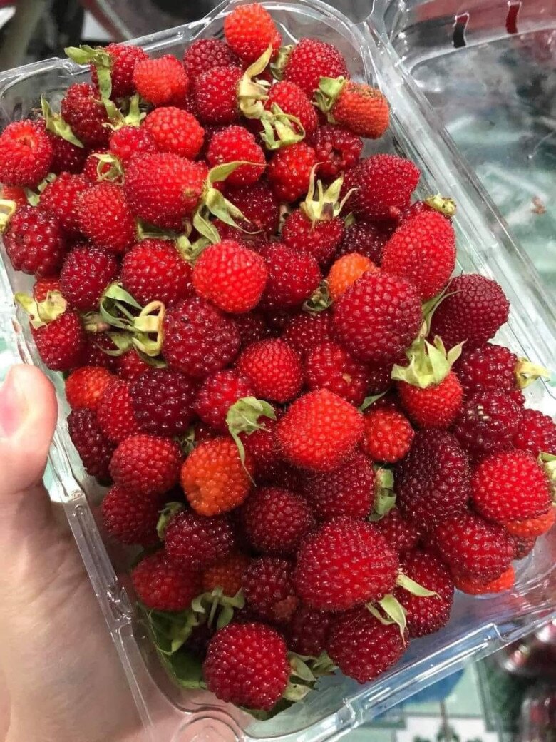 Loại quả dại xưa không ai ngó ngàng, nay thành đặc sản mùa hè được người thành phố ưa chuộng, tốt cho sức khỏe - 2