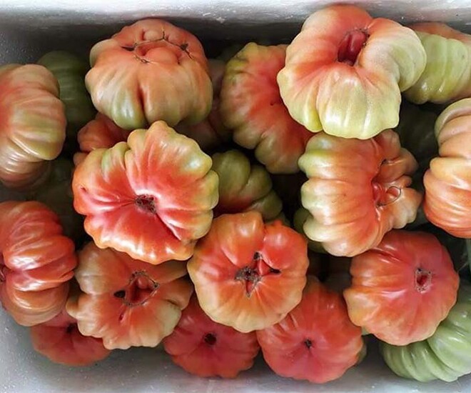 Loại quả xưa không ai ngó ngàng, nay thành đặc sản được ưa chuộng vào mùa hè, giàu axit folic tốt cho bà bầu - 1