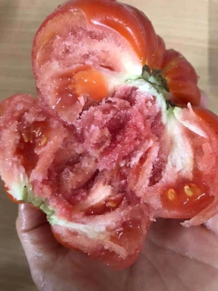 Loại quả xưa không ai ngó ngàng, nay thành đặc sản được ưa chuộng vào mùa hè, giàu axit folic tốt cho bà bầu - 3