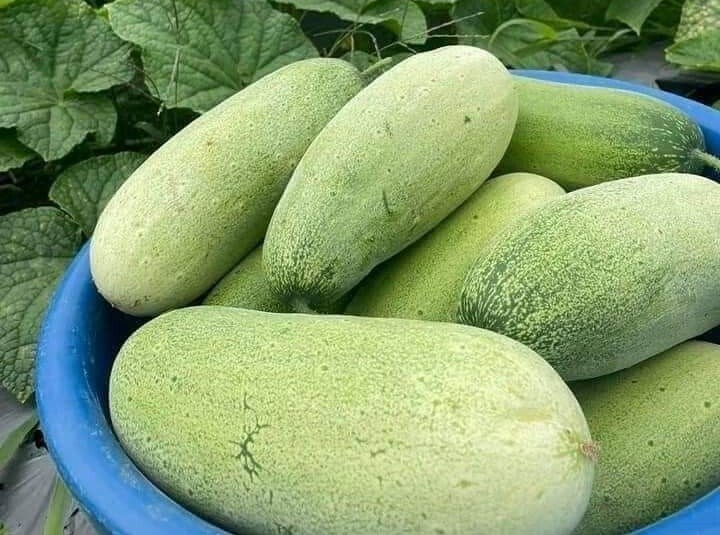 Loại quả có tên rất lạ xưa không ai biết đến, nay thành đặc sản nổi tiếng được ưa chuộng vì hương vị đặc biệt, 40.000 đồng/kg - 3