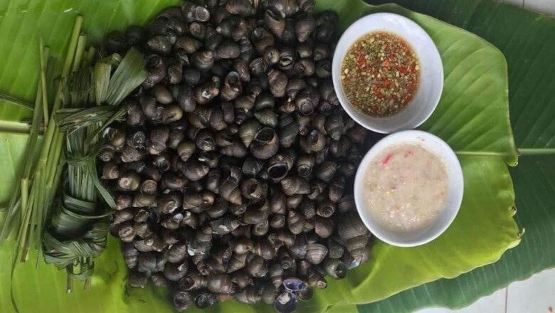 amp;#34;Lộc trờiamp;#34; ở bờ mương xưa không ai ngó ngàng, nay đến mùa dân đi bắt về thành đặc sản hương vị lạ, 120.000 đồng/kg - 3