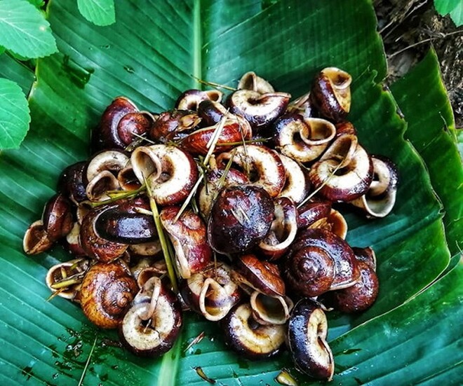 amp;#34;Lộc trờiamp;#34; xuất hiện khi trời mưa, nay thành đặc sản có hương vị lạ được ưa chuộng giá 100.000 đồng/kg, tốt cho sức khỏe - 1