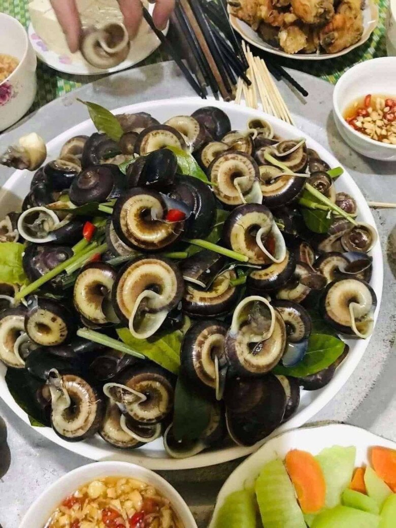 amp;#34;Lộc trờiamp;#34; xuất hiện vào ban đêm, dân rọi đèn đi bắt về bán 120.000 đồng/kg, thành đặc sản được ưa chuộng vì có hương vị lạ&nbsp; - 3