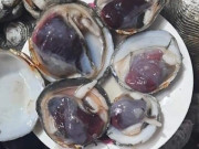 Tiêu dùng - Đặc sản chỉ có ở Quảng Ninh nghe tên chán ngán, xưa không ai biết đến nay được ưa chuộng vì hương vị lạ, 600.000 đồng/kg