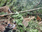 Tin tức - Vừa xảy ra động đất ở Quảng Nam, Kon Tum