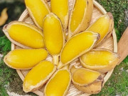 Sức khỏe - Ăn chuối luộc giúp giảm cân như thế nào?