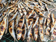 Bà bầu - Loại cá có đầy chợ Việt "tốt hơn cá hồi", xưa cho lợn ăn nay thành đặc sản, được ví là nguồn dinh dưỡng vàng cho mẹ bầu