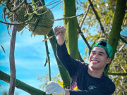 Tin tức - Chàng trai Tiền Giang cắt sầu riêng nhanh như chớp, nghe tiếng là biết quả già