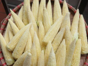 Sức khỏe - Món xưa nhà nghèo ăn đến chán ngán, nay thành đặc sản có hương vị đặc biệt, ăn sống hay chín đều tốt cho sức khỏe