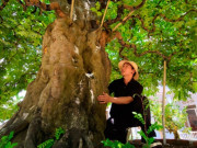 Tin tức - Cây ăn quả ở quê thành bonsai độc lạ, mang lại nhiều phước lành, có cây 3,8 tỷ chủ nhân chưa đồng ý bán