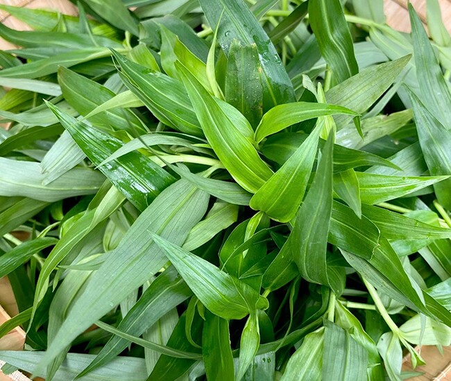 Rau dại mọc bờ mọc bụi nay thành đặc sản, có tiền chưa chắc đã mua được, đem xào tỏi được món cực ngon - 1