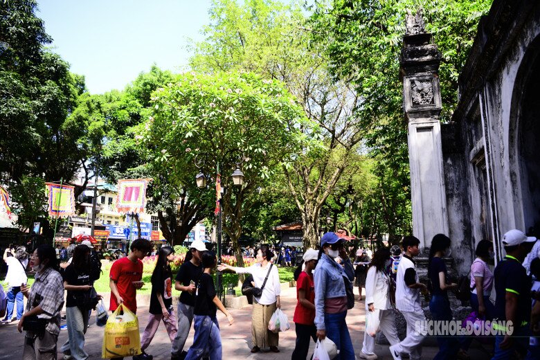 Giữa thời tiết nắng gắt, không khí tại Văn Miếu vẫn tấp nập. Nhiều học sinh lớp 9 cùng phụ huynh đến thắp hương, dâng lễ để cầu may mắn trong kỳ thi vào lớp 10 sắp tới.