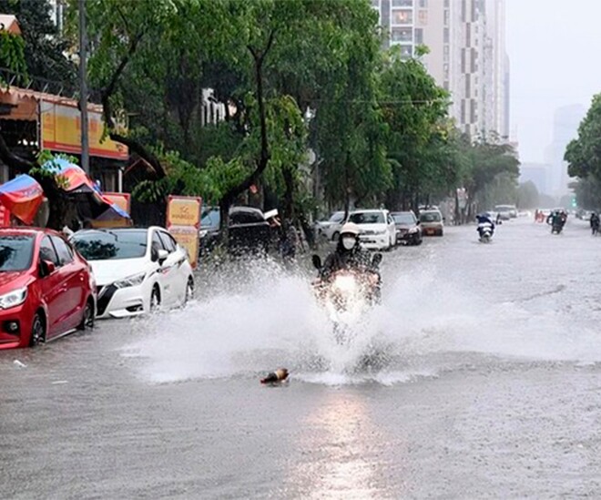 (Ảnh minh họa từ Internet)