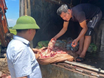 Bí mật kinh hoàng bên trong thùng xe tải